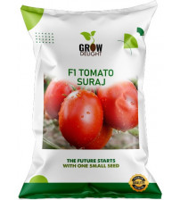 Tomato F1 Suraj 10 grams